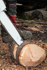 Close-up detail of forestry worker carving a piece of wood with chainsaw and holding the log with his foot