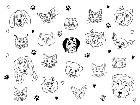 Set of pet portraits.Cats and dogs of different breeds together.Vector illustration.Drawn in doodle style.