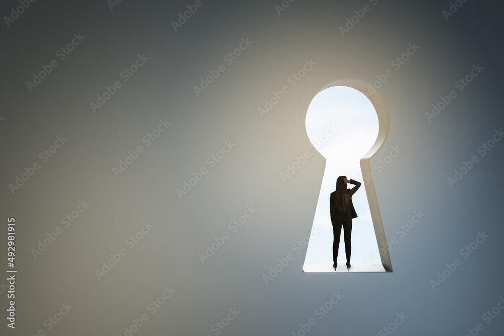 Poster back view of businesswoman standing in abstract key hole opening in concrete wall with mock up place