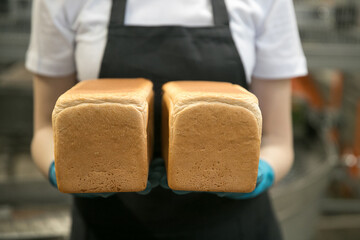 Loaves of bread in a bakery on an automated conveyor..Bakery products