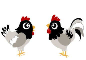 Une poule et un coq noir gris blanc