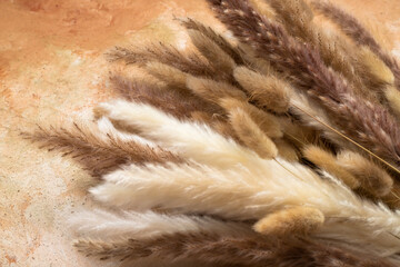 decor ornamental plant pampas. The specially prepared composition is used to beautify places and interior architecture.