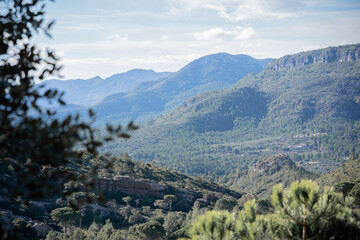 Montaña boscosa