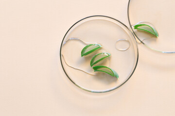 Laboratory utensils and facial serum on a beige background. Aloe vera. Alternative medicine, cosmetic research. Skin care. Dermatology. Top view. Background image.