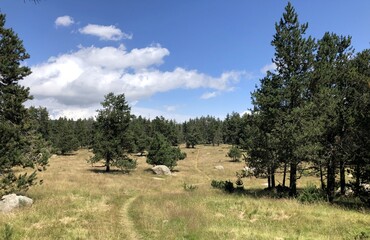 survol d'un lac de montagne et de forets dans les Pyr&eacute;n&eacute;es-Orientales, sud de la France, parc naturel des Bouillouses