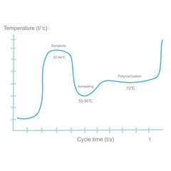 The correlation between the temperature (C) and cycle time (s) for polymerase chain reaction (PCR) step that represented the bule line graph