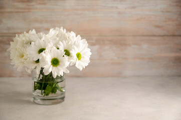 White chrysanthemum flower bouquet in vase. Spring composition with daisy flowers. Copy space