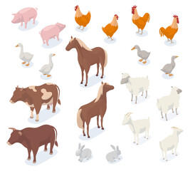 Isometric farm animals, 3d pig, cow, chicken, goat and horse. Agricultural farm animals and birds, dog and ship vector illustration set. Farm domestic animals