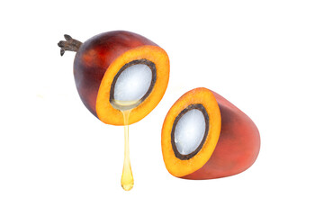 Palm oil  drop dripping from palm seed isolated on white background. © NIKCOA