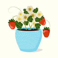 Flower pots with strawberry and strawberry flowers. Vector  isolated elements. Gardening and spring vector illustration for background, textile, poster, scrapbooking, set of stickers, greeting cards.