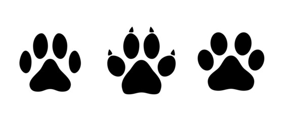 Animal paw icon vector