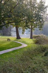 One sunny day in the park. European landscape in the early morning. Green trees in the parc in the morning