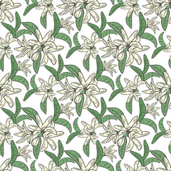 Lemon tree blossom seamless pattern. Background with snowy small white flowers and leaves. Botanical natural template for fabric, paper, wallpaper design vector illustration