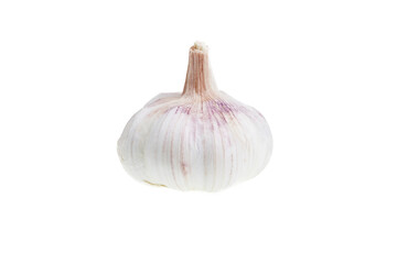 Garlic Isolated Pure White Background