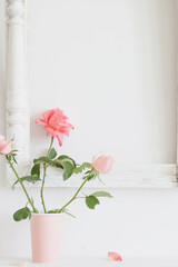 pink roses in vase on background white wall