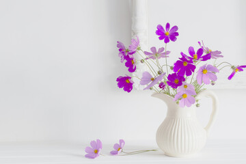 purple kosmeya in jug on white background