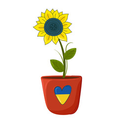 Obraz premium Sunflower in a pot. Symbol of Ukraine and heart.