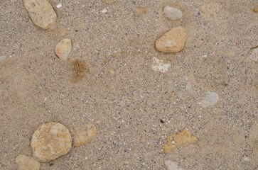 Fototapeta na wymiar Horizontal texture sea sand and stones. Summer vacation concept