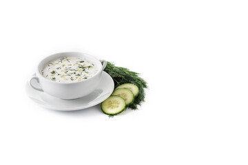 Bulgarian tarator sour milk soup in bowl isolated on white background. Copy space
