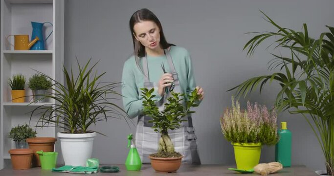 Online gardening classes with professional gardener