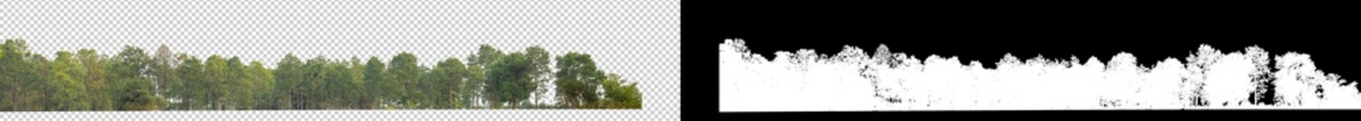 Obraz premium abstract green background