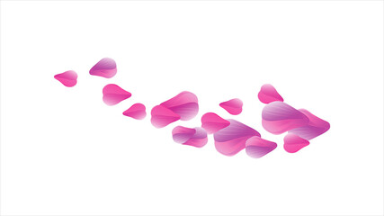 Purple Violet Pink flying petals isolated on White background. Sakura Roses petals. Vector