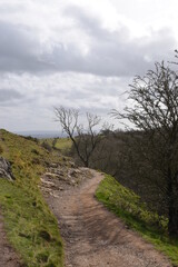Obraz premium a path through the woodland on the Malvern hills
