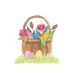 Fototapeta na wymiar Wicker basket with Easter eggs, spring flowers and leaves on a grass hand drawn watercolor illustration.