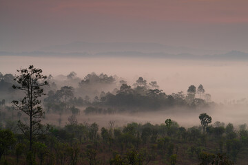 Nature landscape. Thung Salaeng Luang, Phetchabun province in Thailand.