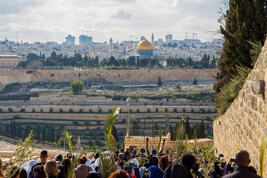 palm sunday in jerusalem mount of olives