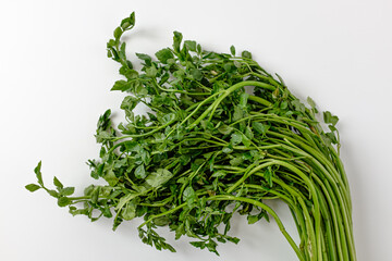 water parsley on white background