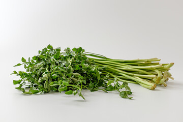 water parsley on white background