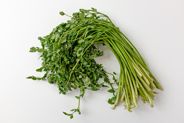 water parsley on white background