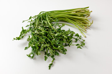 water parsley on white background