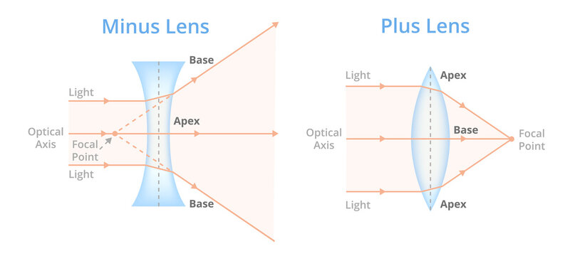 Vector illustration of minus and plus lens isolated on white background. Convex or converging lens, concave or diverging lens. Plus lenses – prisms base to base. Minus lenses – prisms apex to apex.