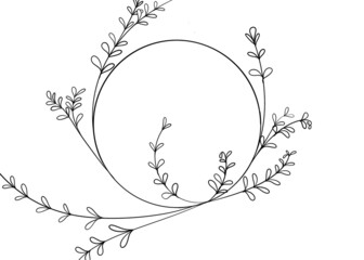 Flowers illustration branch leaves line illustration 