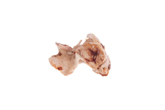 pork bone isolated on white background