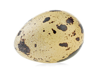 Quail egg isolated on a white background. Nature product.