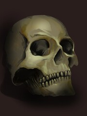 Obraz premium ilustración cráneo