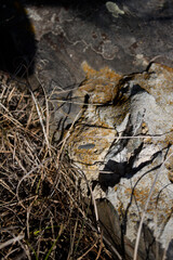Grunge stone background. Abstract nature background. Selective focus.
