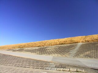 早春の枯れ草のある江戸川護岸と青空風景