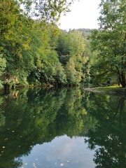 View of a quiet riverbed among leafy trees.
