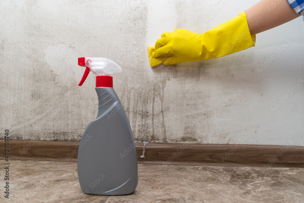 Wall mural close-up of a woman's hand in yellow rubber gloves cleans the wall of black mold with a special anti