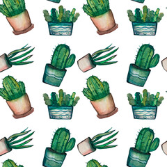 Seamless pattern on a white background. Flowers in pots succulents and cacti, packaging. Hand-drawn in watercolor. Packaging, decor. Home decorations.