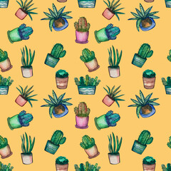 Seamless pattern on a yellow background. Flowers in pots succulents and cacti, packaging.