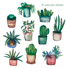 Set of 10 watercolor pots. Hand drawn watercolor set. Cactus, succulents and other plants.