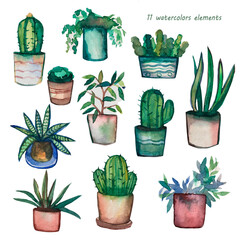 set of cactus plants.Set of 11 watercolor pots. Hand drawn watercolor set. Cactus, succulents and other plants.