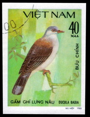 Postage stamp issued in the Vietnam with the image of the Mountain Imperial pigeon, Ducula badia....