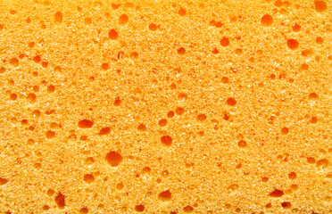 Sponge texture or background, yellow sponge porous pattern