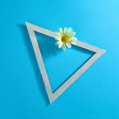 White flower and triangular frame for text on a bright blue background. Text space. Top view. Minimal style.